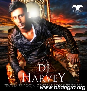 Dj-Harvey-288x300